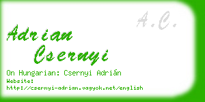 adrian csernyi business card