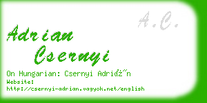 adrian csernyi business card